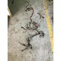 CUMMINS ISX EGR WIRING HARNESS, ENGINE thumbnail 1