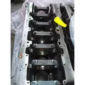 CUMMINS ISX12 G CYLINDER BLOCK thumbnail 2