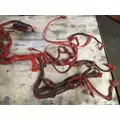 CUMMINS ISX12 G ENGINE WIRING HARNESS thumbnail 3