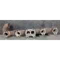 CUMMINS ISX12G Exhaust Manifold thumbnail 5