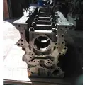 CUMMINS ISX12 CYLINDER BLOCK thumbnail 2