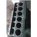 CUMMINS ISX12 CYLINDER BLOCK thumbnail 4