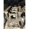 CUMMINS ISX12 CYLINDER BLOCK thumbnail 1