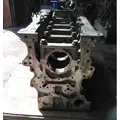 CUMMINS ISX12 CYLINDER BLOCK thumbnail 1
