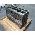CUMMINS ISX12 CYLINDER BLOCK thumbnail 16