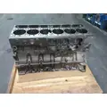 CUMMINS ISX12 CYLINDER BLOCK thumbnail 17