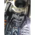 CUMMINS ISX15 CYLINDER BLOCK thumbnail 7