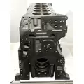 CUMMINS ISX15 Cylinder Block thumbnail 4