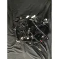 CUMMINS ISX15 ENGINE WIRING HARNESS thumbnail 4