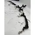 CUMMINS ISX15 Engine Wiring Harness thumbnail 4