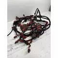 CUMMINS ISX15 Engine Wiring Harness thumbnail 2