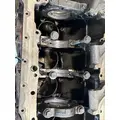 CUMMINS ISX Cylinder Block thumbnail 5