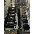 CUMMINS ISX Cylinder Block thumbnail 4