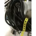 CUMMINS ISX Engine Wiring Harness thumbnail 9