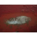 CUMMINS ISX Harmonic Balancer thumbnail 2