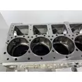 CUMMINS L10 Mechanical Cylinder Block thumbnail 10