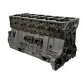CUMMINS L10 Mechanical Cylinder Block thumbnail 11
