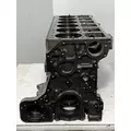 CUMMINS L10 Mechanical Cylinder Block thumbnail 2