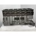 CUMMINS L10 Mechanical Cylinder Block thumbnail 3