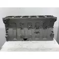 CUMMINS L10 Mechanical Cylinder Block thumbnail 5