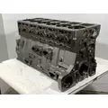 CUMMINS L10 Mechanical Cylinder Block thumbnail 1