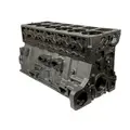 CUMMINS L10 Mechanical Cylinder Block thumbnail 10