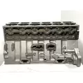 CUMMINS L10 Mechanical Cylinder Block thumbnail 3