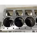 CUMMINS L10 Mechanical Cylinder Block thumbnail 7
