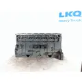 CUMMINS L10 CYLINDER BLOCK thumbnail 1