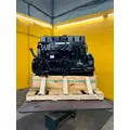 CUMMINS L10 Engine Assembly thumbnail 9