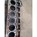 CUMMINS L10 Engine Assembly thumbnail 3