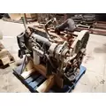 CUMMINS L10 Engine Assembly thumbnail 3