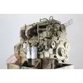 CUMMINS L10 Engine Assembly thumbnail 7