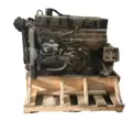 CUMMINS L10 Engine Assembly thumbnail 2