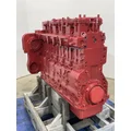CUMMINS L9 Engine Assembly thumbnail 8