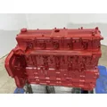 CUMMINS L9 Engine Assembly thumbnail 9