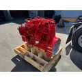 CUMMINS L9 Engine Assembly thumbnail 8