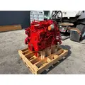 CUMMINS L9 Engine Assembly thumbnail 3