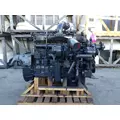 CUMMINS M11 CELECT+ 2036 ENGINE ASSEMBLY thumbnail 13