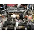 CUMMINS M11 CELECT+ Engine Assembly thumbnail 4