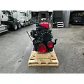 CUMMINS M11 CELECT+ Engine Assembly thumbnail 5