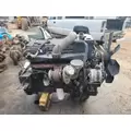 CUMMINS M11 CELECT+ Engine Assembly thumbnail 2