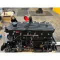 CUMMINS M11 CELECT+ Engine Assembly thumbnail 15