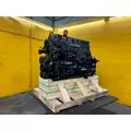 CUMMINS M11 CELECT+ Engine Assembly thumbnail 16