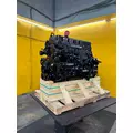 CUMMINS M11 CELECT+ Engine Assembly thumbnail 7