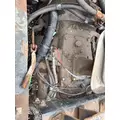 CUMMINS M11 CELECT+ Engine Assembly thumbnail 5