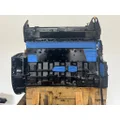 CUMMINS M11 CELECT+ Engine Assembly thumbnail 6