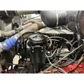 CUMMINS M11 CELECT+ Engine Assembly thumbnail 2