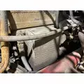 CUMMINS M11 CELECT+ Engine Assembly thumbnail 4