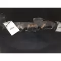 CUMMINS M11 CELECT  EXHAUST MANIFOLD thumbnail 2